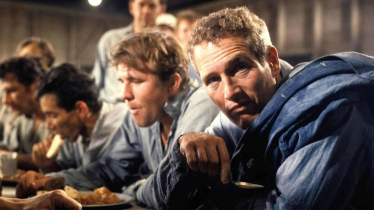 „Der Unbeugsame“: Gefängnisdrama mit Paul Newman erscheint auf 4K-Blu-ray